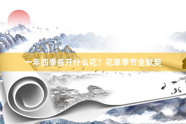 一年四季各开什么花?花草季节全默契